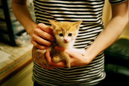 开云体育在线入口-柬埔寨男篮在亚洲锦标赛中奋力争胜,体育发展迅速