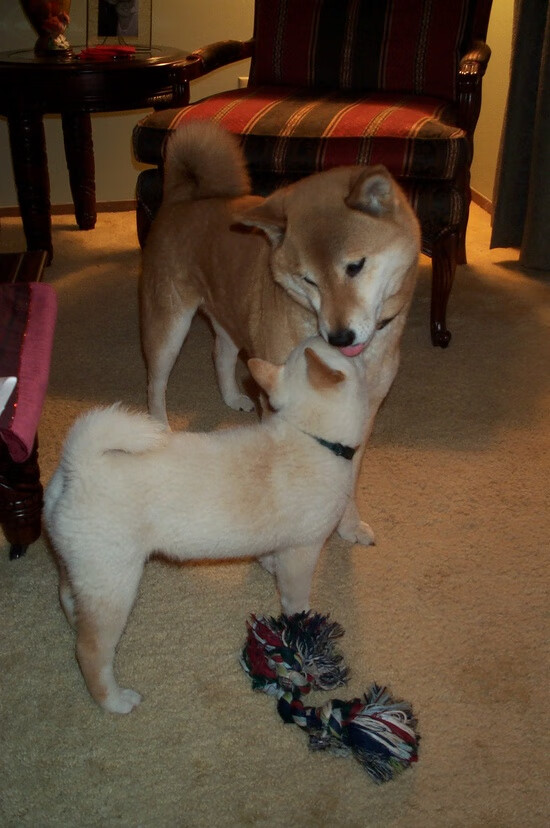 开云体育官网下载-游泳比赛中节奏控制意识强化,游泳节奏视频教学